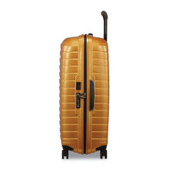 Proxis Large Spinner
